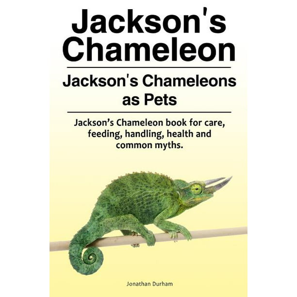 Jackson's Chameleon. Jackson's Chameleons as Pets. Jackson's Chameleon Book  for Care, Feeding, Handling, Health and Common Myths. 