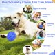 thumbnail image 5 of Pelota chirriante indestructible de juguete para perros DISSONIC para razas grandes, 5 of 8
