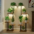 thumbnail image 1 of Plant Stand Indoor with Grow Light Metal Plant Shelf for Indoor Plants Multiple ed Corner Plant Stand Shelves Plant Rack Display Flower Holder for Living Room Patio Balco, 1 of 8