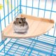 thumbnail image 3 of Pet Bird Perch Platform Stand Madera para animales pequeños Loro Periquito Conure Cockatiel Budgie Gerbil Rata Ratón Chinchilla Hamster Jaula Accesorios Ejercicio Juguetes Sector MFZFUKR WRMH-213, 3 of 7
