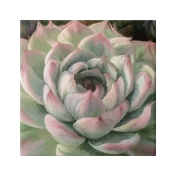 Stupell Industries Succulent Leaves Close Up Botanical & Floral Painting Gallery Wrapped Canvas Print Wall Art, 17 x 17