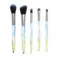 thumbnail image 1 of Conjunto de brochas de maquillaje de cristal de 5 piezas para baño, mango de plástico azul y amarillo, pelo de nylon, 1 of 1