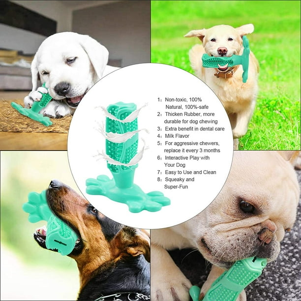 Dog tooth brushing clearance toy