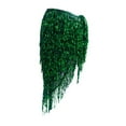thumbnail image 2 of fenteer Belly Dance Hip Scarf Wrap Dress Clothes Sequins Skirt for Samba Rumba Tango Green, 2 of 8