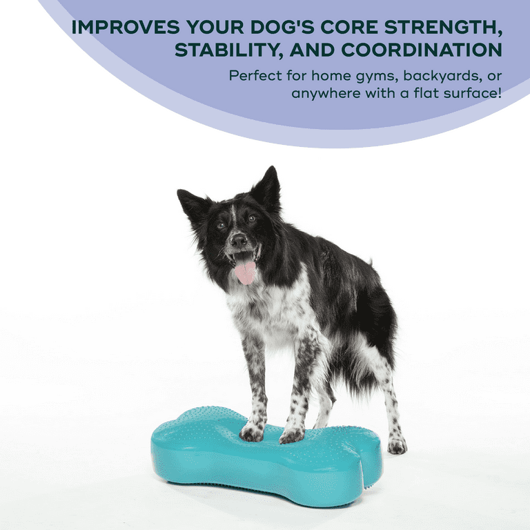 FitPAWS® K9FITbone® - Regular | Dog Balance Training Platform