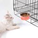 thumbnail image 3 of Jaula Cuenco de comida Mascota Colgante Jaula desmontable Cuencos de agua de comida de acero inoxidable para perros Gatos Animales pequeños Adepaton 220916-4, 3 of 9