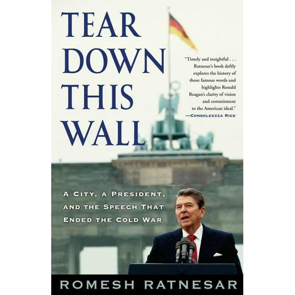 Tear Down This Wall : A City, a President, and the Speech that Ended the Cold War (Paperback)