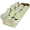 Arabella Bouquets Farm Direct Fresh Cut 12 White Hydrangea (Fresh-Cut Flowers, White)