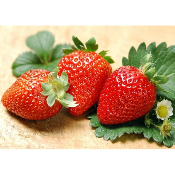 300pcs Giant Strawberry Seeds, Sweet Red Strawberry/Organic Garden Strawberry Fruit Seeds, for Home Garden Planting
