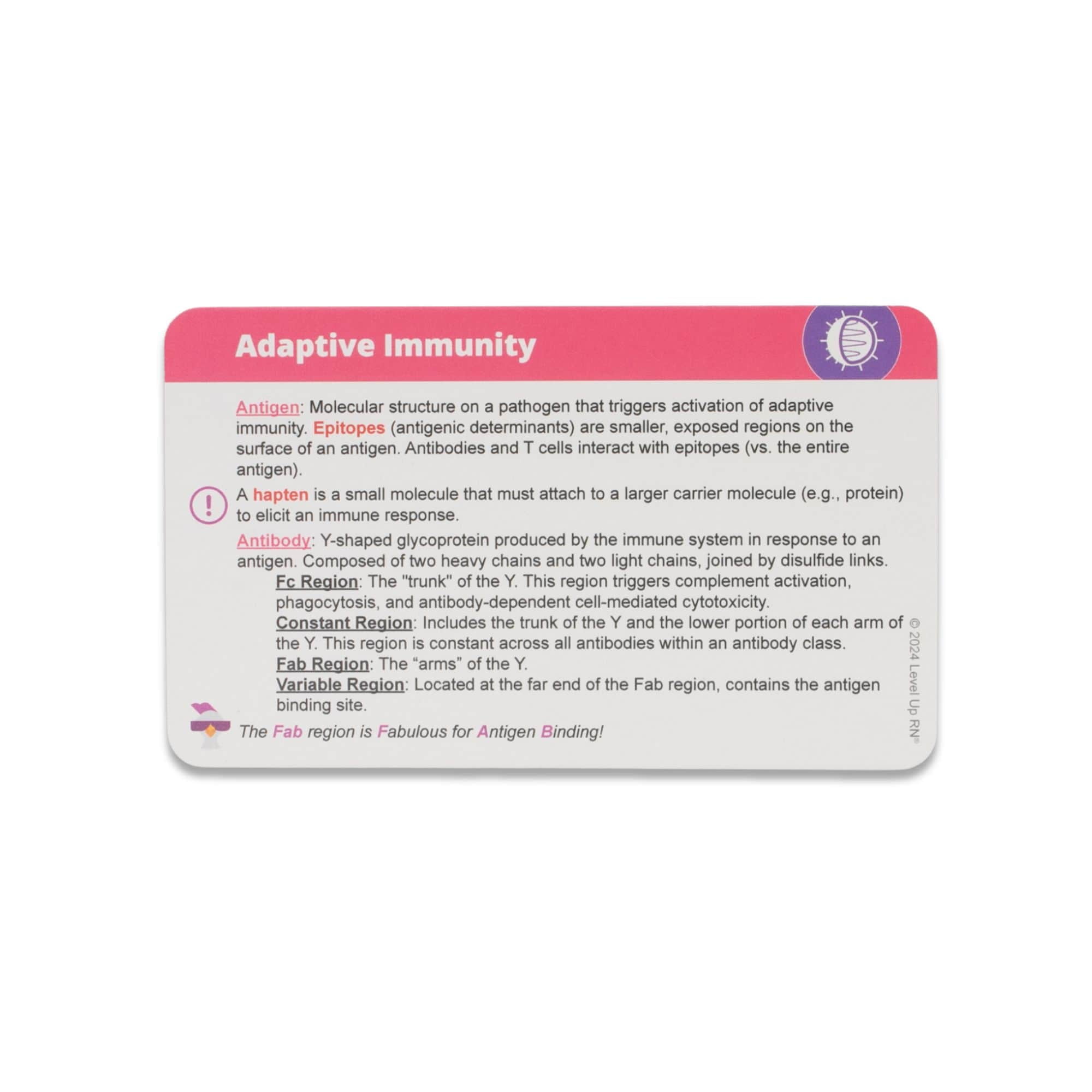 Level UP RN Microbiology LPN RN Flash Cards – Nursing School Essentials for Students (400 Cards)