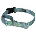 thumbnail image 3 of Country Brook Petz® Green Paisley Reflective Martingale Dog Collar With Deluxe Buckle, Medium, 3 of 5