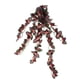 thumbnail image 2 of 2 Piezas de de Hiedra para Plantas de Simulación de , Decoración para Mascotas, Hábitat de La, 2 of 9