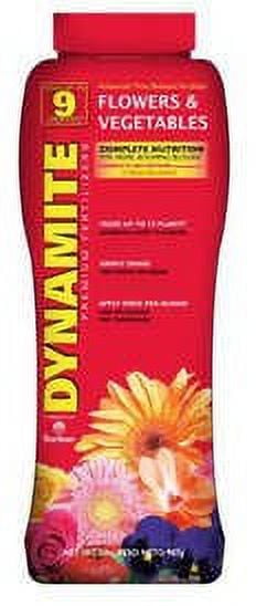 GGG 様@AF Dynamite 5L Dynamite Big Bang Mint Chocolate - Hard Candy from Vietnam