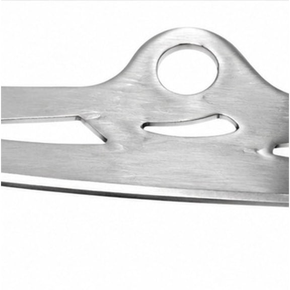 HAMPPLIES 1 Pair -Plated Stainless Steel Replaceable Ice Skate Blades for Hockey Skates and Figure Skating Shoes