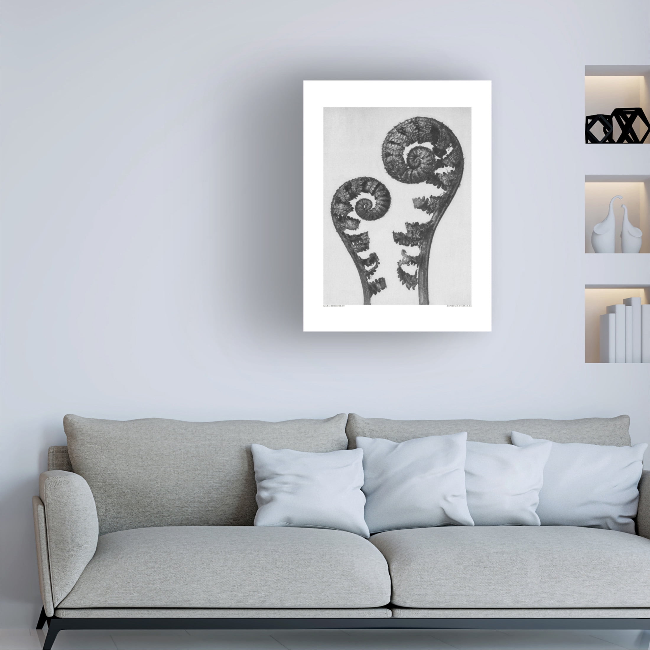 Trademark Fine Art Pictufy Aspidium Filix Mas Canvas Wall Art