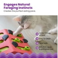 thumbnail image 5 of Catstages Nina Ottosson Melon Madness Puzzle & Play Interactive Treat Puzzle Feeder for Cats, Pink, 5 of 9