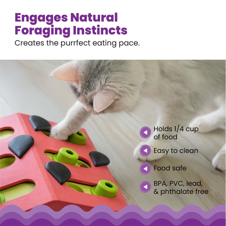 Petstages, Catstages Melon Madness Puzzle & Play, Pink