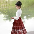 thumbnail image 6 of Otqutp Girls Chinese Traditional Skirts Shirt Set Embroidery Buckle Collar 𝗧ang Suit for Kids Retro Elegant New Year Clothes, 6 of 6