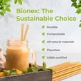 thumbnail image 2 of Bionex Drinking Straws Biodegradable Sugarcane Disposable 1000 Count 8-Inch, 2 of 4
