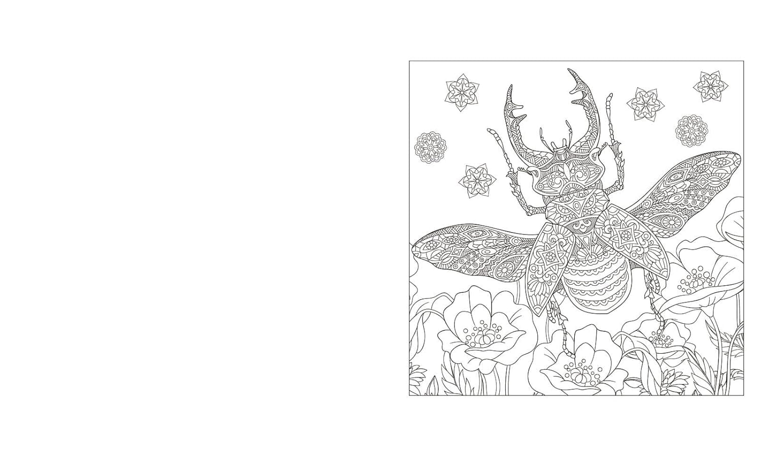 Tansy Willow The Beautiful World Colouring Book (Paperback) Arcturus Creative Colouring