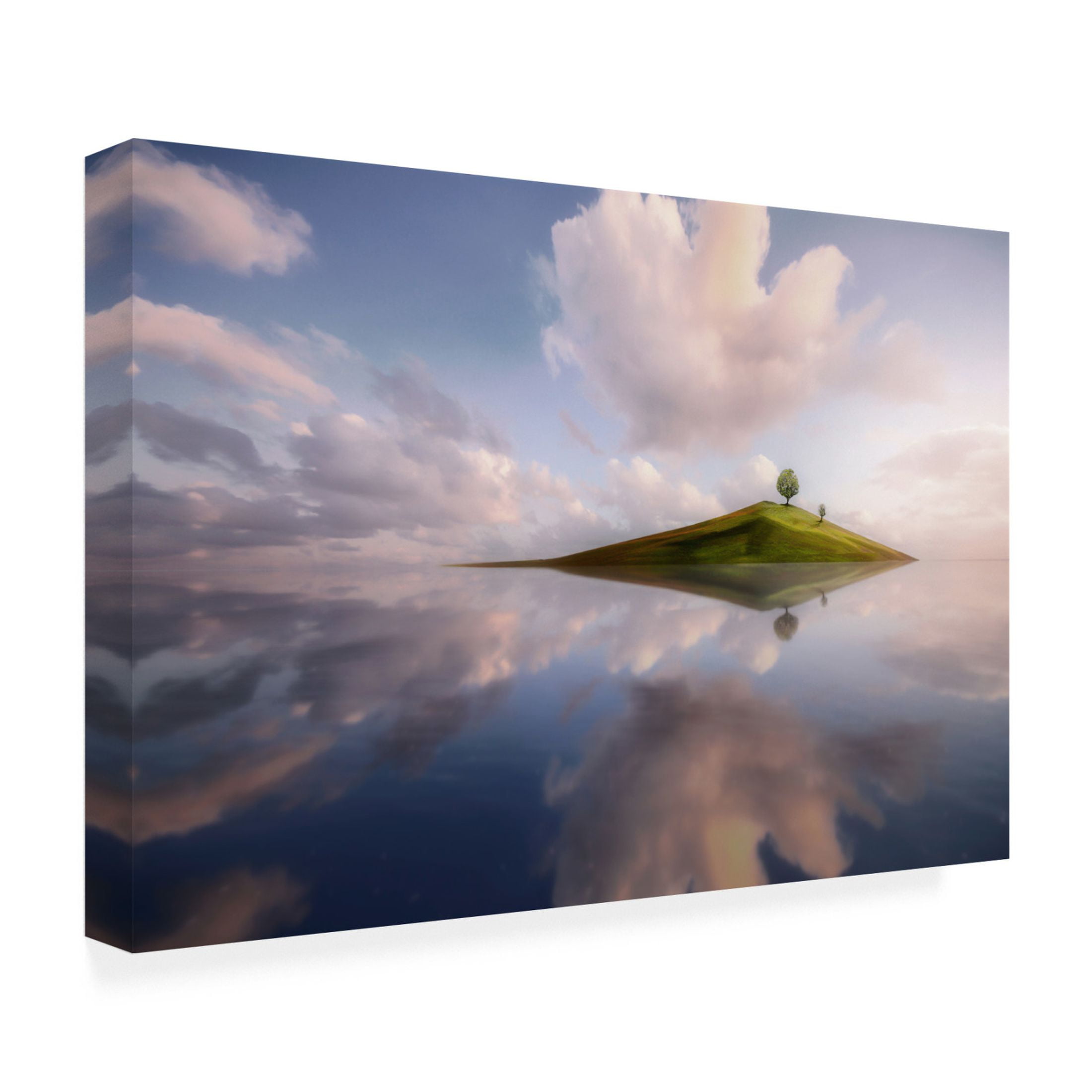 Trademark Fine Art Hary Muhammad  Tinyland Canvas Wall Art