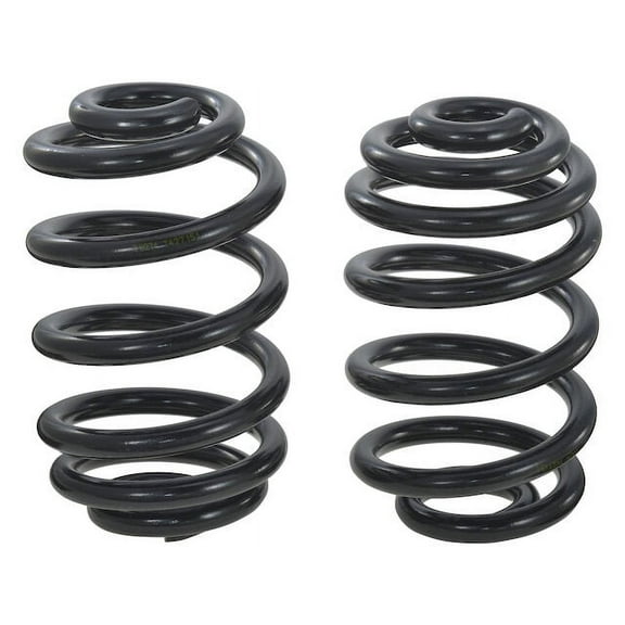 Rear Coil Spring Set of 2 - Compatible with 2004 - 2010 BMW X3 3.0L 6-Cylinder (Except M Model) 2005 2006 2007 2008 2009