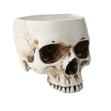 

TOYMYTOY Halloween Skull Ornament Resin Plant Pot Container Human Skull Head Flower Pot Halloween Antique Appliance Planter Container Craft Ornament
