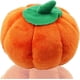 thumbnail image 1 of KAIYANG Juguete de Halloween con voz de perro, calabaza de peluche, Nip Play (rojo), 1 pieza, 1 of 3