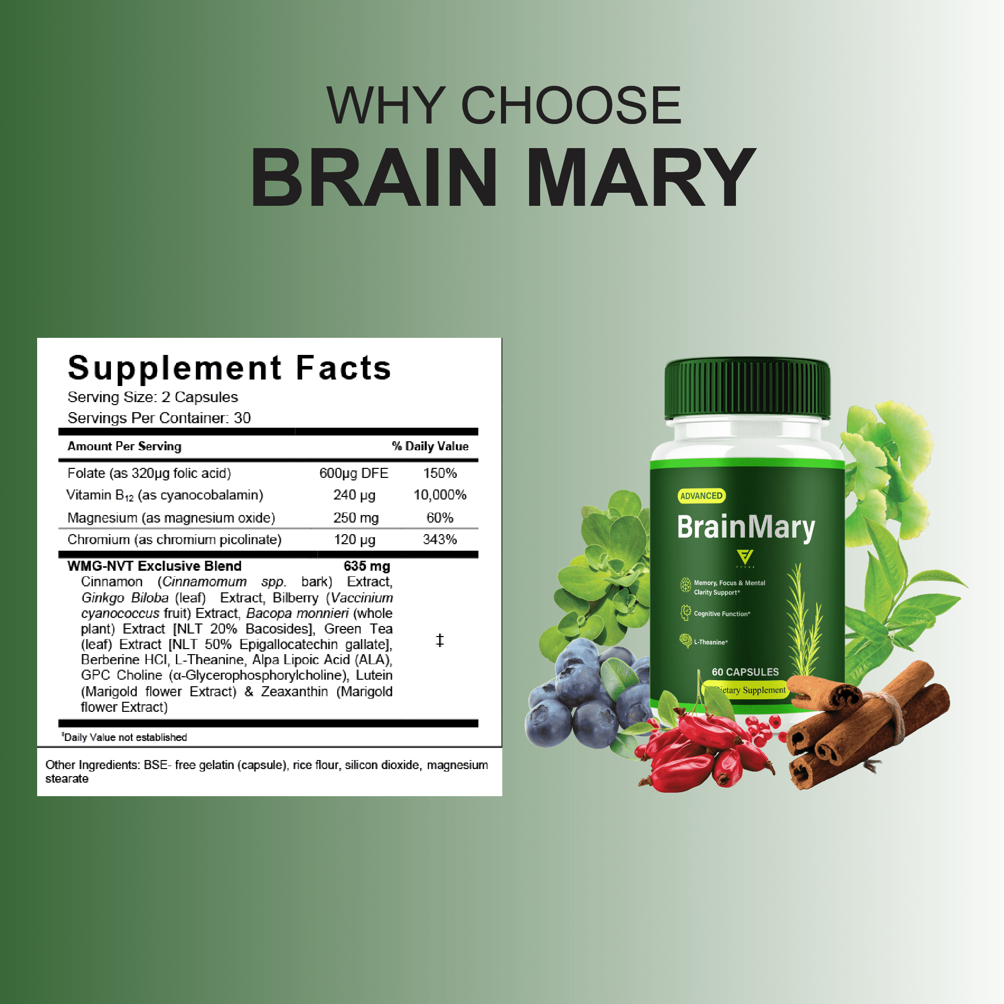 (3 Pack) Brain Mary Advanced Formula, BrainMary Nootropic Support (180 Capsules)