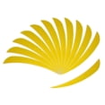 thumbnail image 1 of pitrice 12 Pieces Archery Hunting Arrow Feather Fletching Right Wing Fletches 4 inch Yellow, 1 of 9