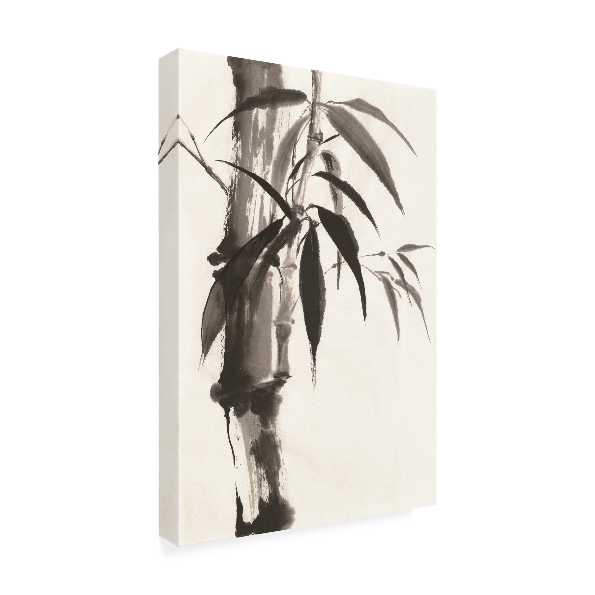 Chris Paschke 'Sumi Bamboo' Outdoor Canvas 19x19