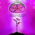 thumbnail image 4 of La planta crece ligera, luz de relleno de plantas de 50W ER, 4 of 5
