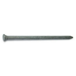 Ace 10D 3 in. Casing Hot-Dipped Galvanized Steel Nail Brad Head 1 lb Ace 10D 3 in. Casing Hot-Dipped Galvanized Steel Nail Brad Head 1 lb