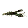 thumbnail image 3 of Cangrejo de río 3D suave de 9,5 cm con olor a pescado Verde, 3 of 5