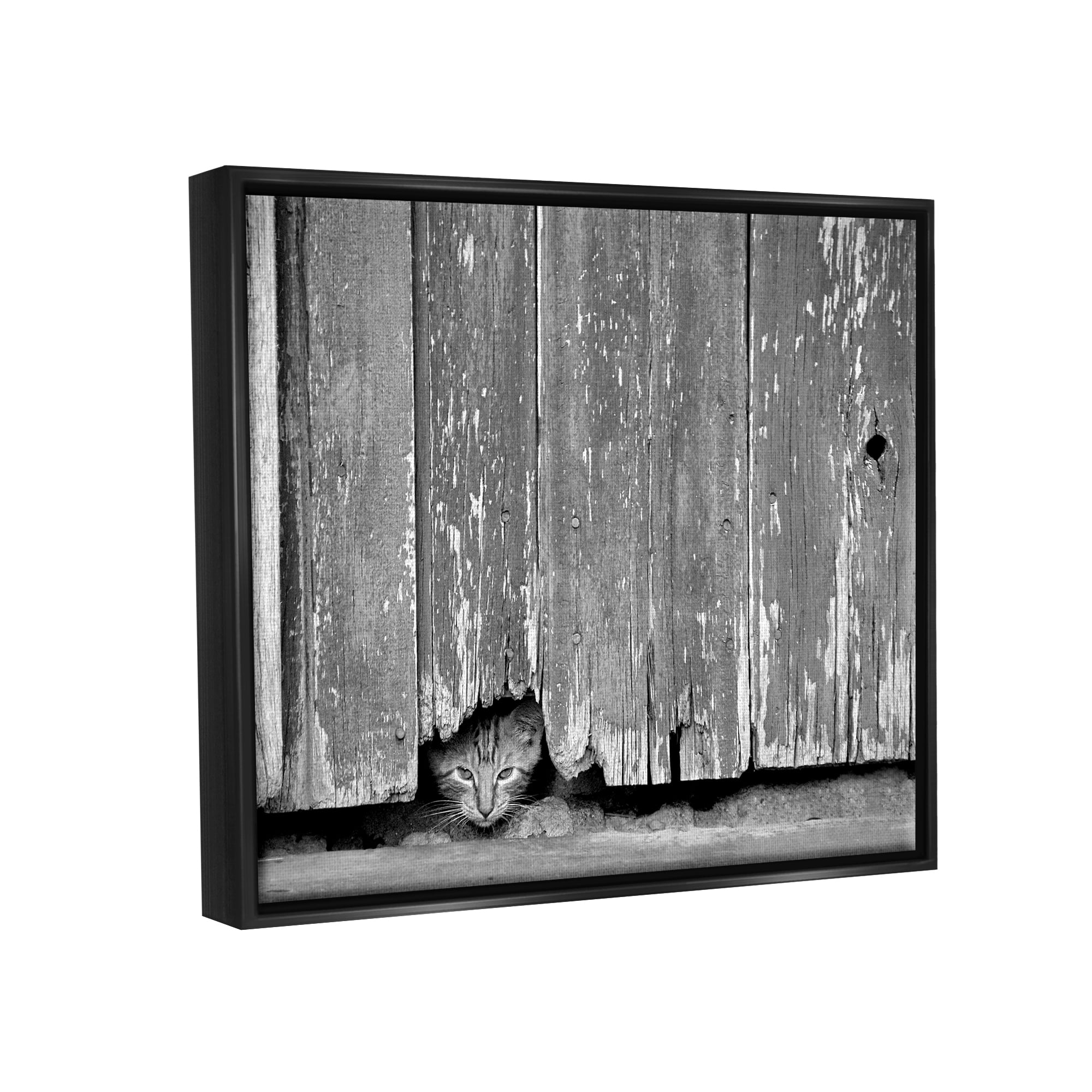 Stupell Industries Rustic Cat Peeking Animals & Insects Photography Black Floater Framed Canvas Art Print Wall Art, 31 x 25