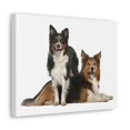 thumbnail image 2 of Border Collie Couple Border Collie Troop Print Animal Wall Art Wildlife Canvas Prints Wall Art Ready to Hang Unframed, 2 of 18