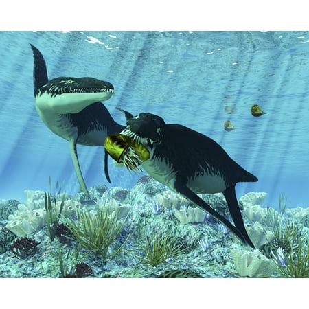 Liopleurodon eating an ammonite Canvas Art - Corey FordStocktrek Images (16 x 13)