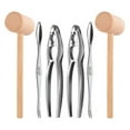 thumbnail image 1 of 6pcs Seafood Set Including 2 Forks 2 Lobster Crackers Nut Cracker ,crab Crackersand 2 Lobster Crab, 1 of 5