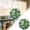 C, variant on 83 Pieces 7.4 Inch Floral Acrylic Puzzle Suncatcher, Plants Theme Window Hanging Ornament, Garden & Home Decor for Mom Birthday Gift