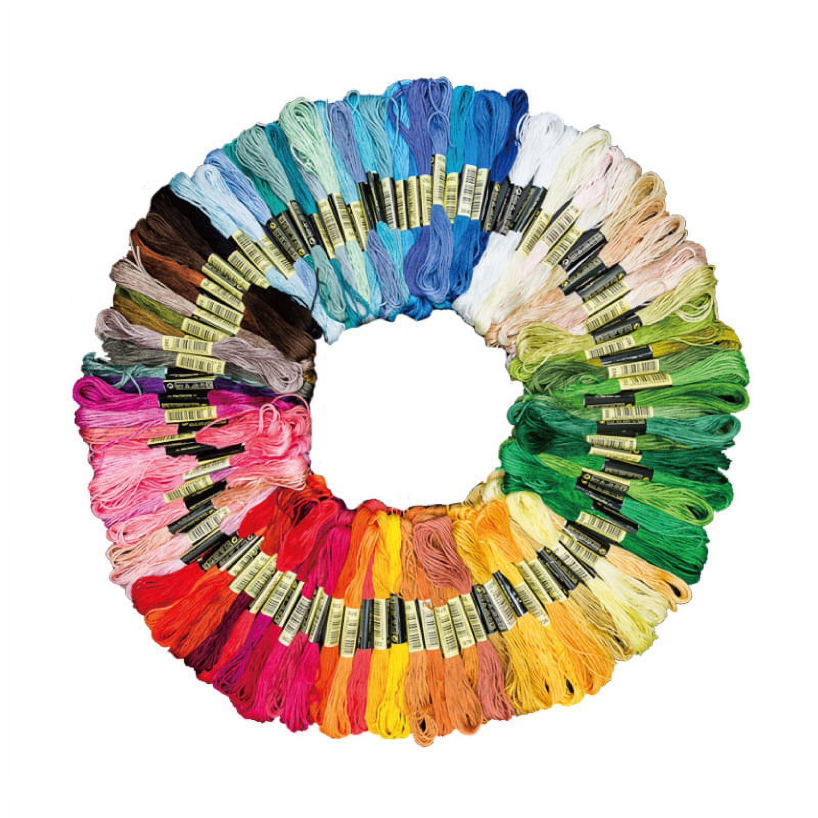 Fil à Broder 50 Écheveaux Couleurs Arc-en-Ciel - Kit Complet Avec Aiguilles Pour Bracelets D'Amitié Et Point De Croix