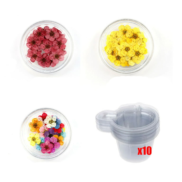 219Pcs Resin Kit Silicone and Epoxy Resin Supplies Include Dried Flowers