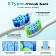 thumbnail image 5 of COSLUS CX30 Electric Toothbrush for Kids & Adults,5 Modes 3 Intensity Levels for Sensitive Teeth & Braces,2 Types of Brush Heads for Home Pink, 5 of 11