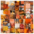thumbnail image 1 of 63x Stickers - Orange VSCO, 1 of 5