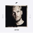 thumbnail image 2 of Cmmi Avicii, 2 of 2