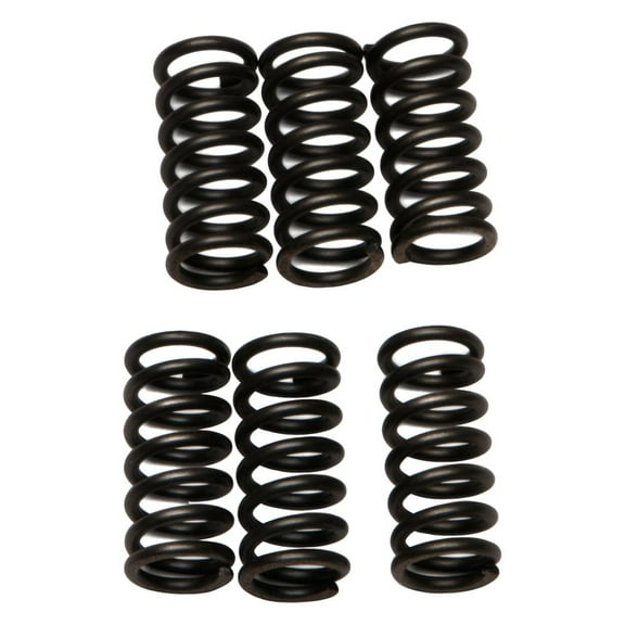 EBC CSK2 - CSK Series Heavy Duty Clutch Spring Kit
