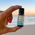 thumbnail image 5 of Summer Vibe Fresh Scented Aromatherapy Essential Oil For Diffusers Humidifiers - 6-Pack, 5 of 8