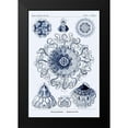 thumbnail image 2 of Haeckel, Ernst 13x18 Black Modern Framed Museum Art Print Titled - Haeckel Nature Illustrations: Polycytaria Radiolaria - Dark Blue Tint, 2 of 5
