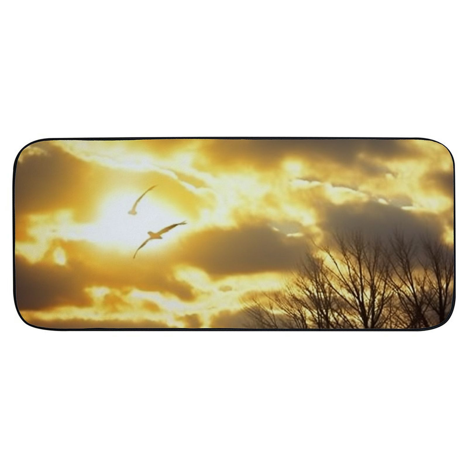 PHYHOO Decorative Door Mat, Door Mat with Non-Slip Rubber Backing, Easy Cleaning, Traps Dirt, Rug for Entry, Patio, Garage - Tree Branches Bare Autumn Fall Sunlight Sunshine 19.68*47.24 in