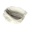 thumbnail image 3 of Plato de agua para reptiles, comedero para reptiles, accesorio para tanque, plato para terrario, tazón de comida, piscina para tortugas, camaleones, 3 of 7