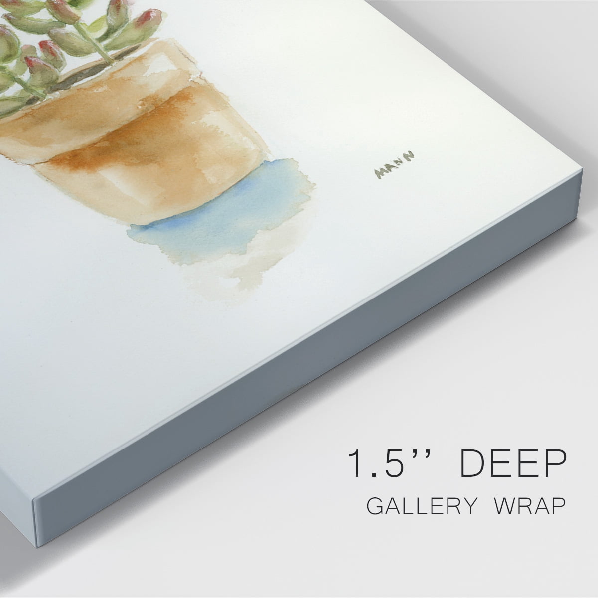 Succulent III Premium Gallery Wrapped Canvas - Ready to Hang